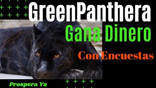 GreenPanthera Gana Dinero a Paypal con Encuestas Remuneradas  Explicacion Tutorial Completo [upl. by Sitto]