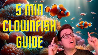 5 Minute Clownfish Care Guide [upl. by Paulie]