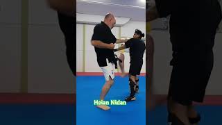 Heian Nidan Bunkai  Options from the opening sequence bunkai karate japanmartialarts [upl. by Fanestil]