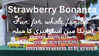 Strawberry Festival Memorial Day weekend امریکا مین اسٹرابیری کا میلہ [upl. by Ahdar291]