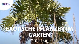 Kakteen und Palmen  Exoten im Garten  SWR Grünzeug [upl. by Luing]