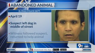 Man arrested after abandoning dog in Lower Valley street [upl. by Ermey]