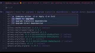 neovim lsp native codelens [upl. by Crooks]