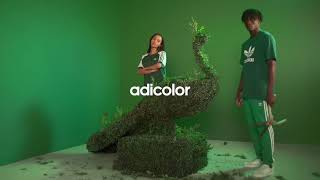 adicolor  Green  adidas Originals [upl. by Aden]