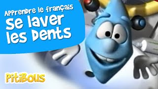 Apprendre à bien se brosser les dents  les Pitibous  Français [upl. by Einiar70]