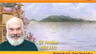 Andrew Weil Guided Meditation [upl. by Guidotti]