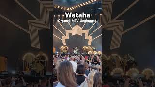 Organek  Wataha MTV Unplugged [upl. by Ashman]