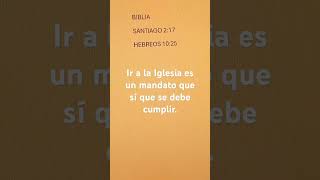 No dejen de congregarse como algunos tienen por costumbre Biblia [upl. by Notrem826]