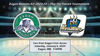 Eagan Wildcats BAA vs Woodbury  1624  Play for Patrick Tournament [upl. by Hillell]