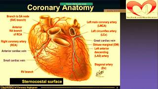 Coronary angiogram angiography Part 1 cardiac catherterization CAG drnarendrakumar PTCA [upl. by Mccandless]