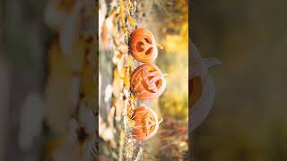 🌹⁷☆•⁵ Gourd Family Cucurbits  Cucurbitaceae [upl. by Etem]