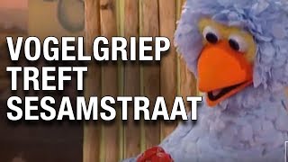 Vogelgriep treft Sesamstraat [upl. by Ahsaei]