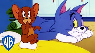 Tom y Jerry en Español  ¡Los momentos más divertidos de Jerry 🐭  WB Kids [upl. by Haberman]