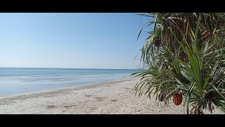 Road Trip a visit to Rayong Beach Thailand [upl. by Enahsed61]