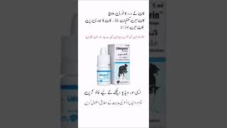 lidosporin ear drops  lidosporin ear drops uses in urdu lidosporineardrops​ earpainrelief​ [upl. by Itsyrc]