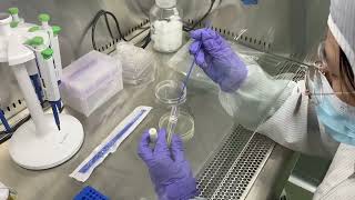 inoculating a liquid bacterial culture [upl. by Raddatz]