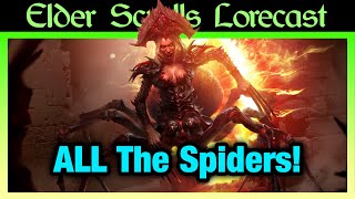 Skein Bugs Skitteris Spider Daedra and Spiderkith Explained [upl. by Thadeus10]