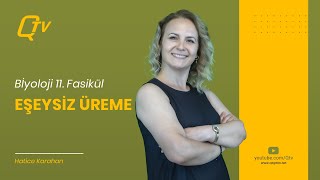 Biyoloji 11 Fasikül  Eşeysiz Üreme  Q tv [upl. by Chelton]