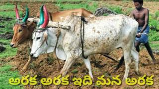 1st class telugu araka అరక అభినయ గేయం Aarka Aarka idhi mana aaka rhyme [upl. by Akeit371]