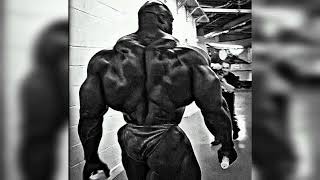 REI DO BRASIL SUPER SLOWED  MOTIVATION BRAZILIAN FUNK  RONNIE COLEMAN GYM RAT [upl. by Purdy]