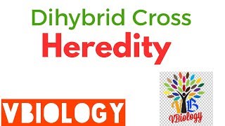 Dihybrid CrossPart1  Genetics  XII and X BIOLOGY  Heredity ad Inheritance [upl. by Gusella111]