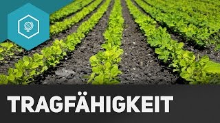 Wie viele Menschen kann die Welt ernähren Tragfähigkeit  Landwirtschaft in Industrieländern 1 [upl. by Boleyn]