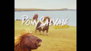 PONY SALVAJE Remix [upl. by Mei]