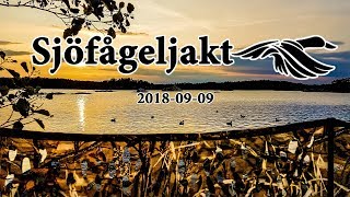 Sjöfågeljakt 20180909 [upl. by Notsuj]