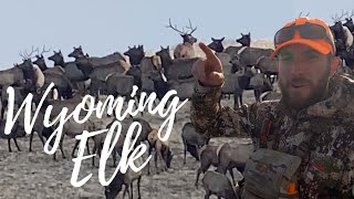 Wyoming Late Season  Elk 2021 [upl. by Aerb]