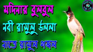 Modinar BulBul Nobi Rasululla  New Alokbarta Shilpi Gosthi Gojol  New Islamic Song 2018 [upl. by Atinnor]