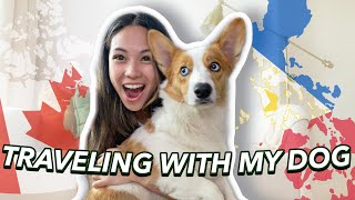 TRAVELING WITH OUR DOG Canada to Philippines [upl. by Gala]