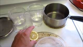 Penicillium isolation from citrus fruit  Part 1 [upl. by Aljan370]