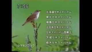 CM 積水化学グループ 「青い揺りかご」 ♪飛翔子 [upl. by Elfreda]