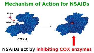 Introduction to Nonsteroidal AntiInflammatory Drugs NSAIDs [upl. by Nosam]