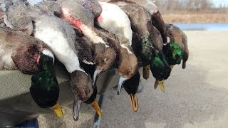 Duck Hunting Public Land Stacked Against Us  Fowled Reality [upl. by Jaine458]