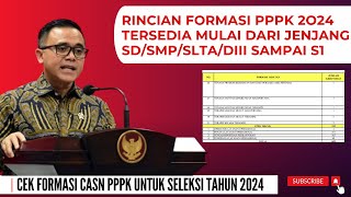 CEK RINCIAN FORMASI CASN PPPK 2024 TERSEDIA DARI JENJANG SD SAMPAI S1 [upl. by Aleydis651]