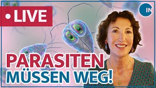 Parasiten – Schmarotzer im Darm  medical INSIGHTS [upl. by Raddie]