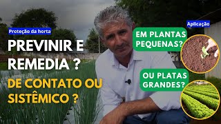 MOSCA BRANCA E TRIPES DEFENSIVO SISTÊMICO OU DE CONTATO O MAGRÃO MOSTRA COMO CULTIVAR ALFACE [upl. by Pantia484]