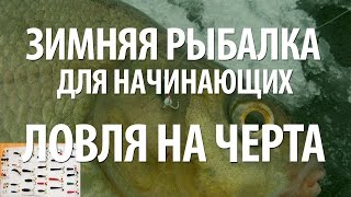 МОРМЫШКА ЧЕРТИК  РЫБАЛКА для НАЧИНАЮЩИХ ЗИМОЙ [upl. by Lednem78]