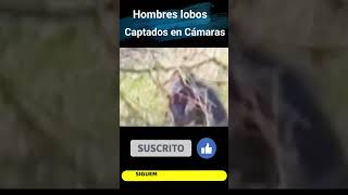 🐺Hombres lobos captados en camara hombreslobo cosasextrañas videosdeterror [upl. by Blanc]