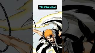 The FATE Reality MANIPULATION Theory  Ichigos True Bankai FULL POTENTIAL [upl. by Ecnav]