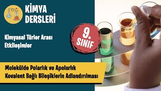 Molekülde Polarlık ve Apolarlık  Kovalent Bağlı Bileşiklerin Adlandırılması  9 Sınıf Kimya [upl. by Hymen282]