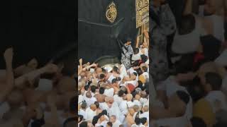 Makkah 4k view on top Masha allah makka madina status makkah madina shortvideo viral shots [upl. by Atenaz147]