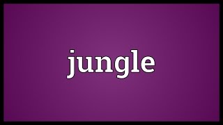 Jungle Meaning [upl. by Picardi632]