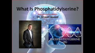 What Is Phosphatidylserine [upl. by Elliot767]