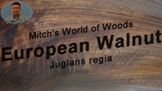 European Walnut  Mitchs World of Woods  juglans regia [upl. by Cuthburt]