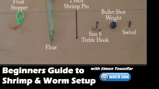 Beginners Guide to Worm and shrimp fishing for salmon Tackle setup and bait [upl. by Jolie]