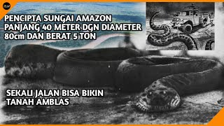 Misteri Anaconda Raksasa Sucuriju Gigante Ular Legendaris Pencipta Sungai Amazon [upl. by Cost]