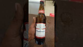 Budweiser light beer 270 india guntur andhra budweiser beer trending love shorts amercia [upl. by Field]