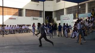 Dignity Day Cricket at Beaconhouse cricket cricketlover [upl. by Eneli]